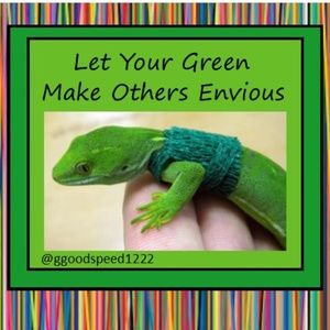 Go Green Mystery Bundle Box